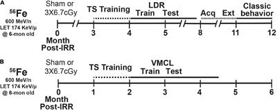 Multi-Domain Touchscreen-Based Cognitive Assessment of C57BL/6J Female Mice Shows Whole-Body Exposure to 56Fe Particle Space Radiation in Maturity Improves Discrimination Learning Yet Impairs Stimulus-Response Rule-Based Habit Learning